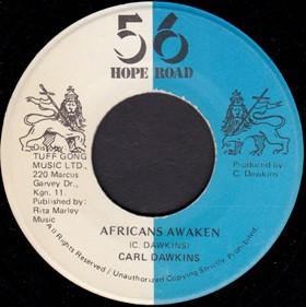 Carl Dawkins - Africans Awaken