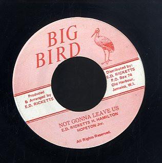 Hopeton Junior - Not Gonna Leave Us