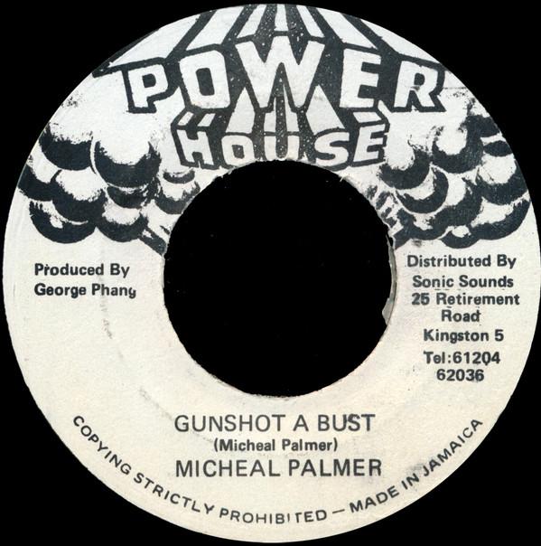 Michael Palmer - Gunshot A Bust