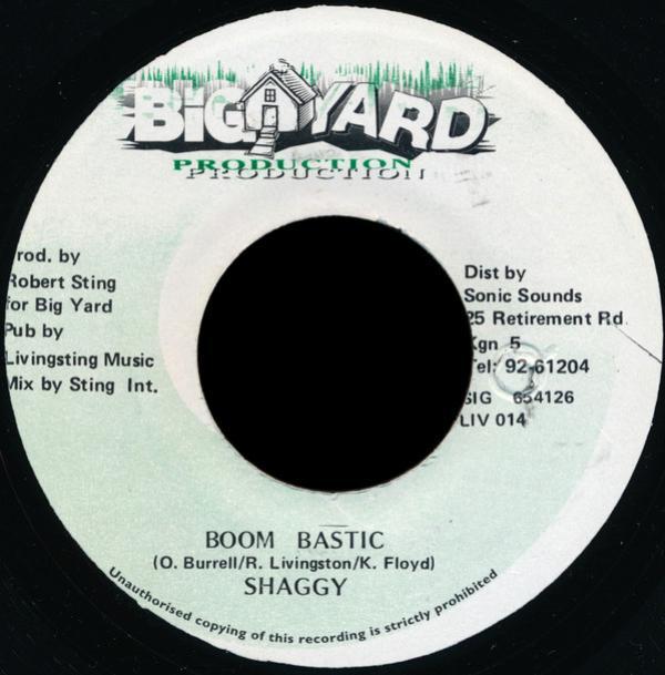 Shaggy - Boom Bastic